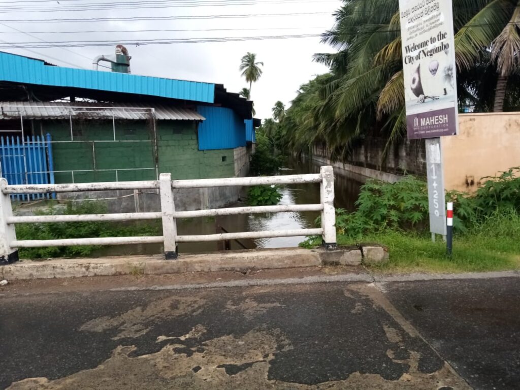 මහ වැසි මැද පිටාර ගලන මීගමු අසිරිය ….. 7 IMG 20210604 WA0103