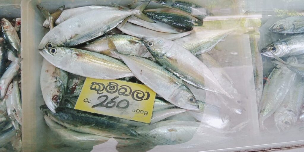 වැල්ලෙන් බැරිනම් එන්න රැල්ලට ! අඩුම මිළට අළුත් මාළු.. 3 IMG 20210824 WA0013