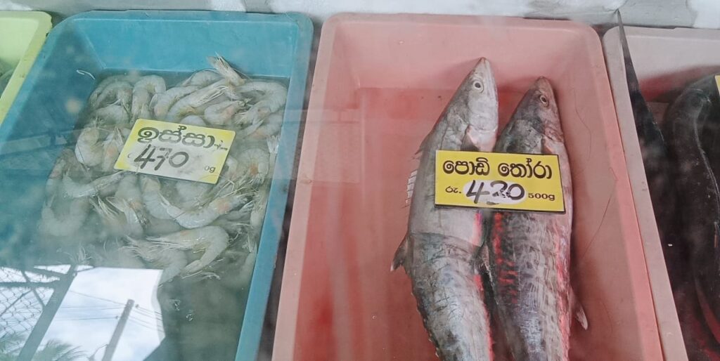 වැල්ලෙන් බැරිනම් එන්න රැල්ලට ! අඩුම මිළට අළුත් මාළු.. 4 IMG 20210824 WA0014
