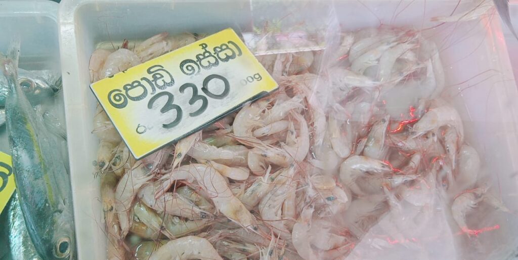 වැල්ලෙන් බැරිනම් එන්න රැල්ලට ! අඩුම මිළට අළුත් මාළු.. 6 IMG 20210824 WA0016