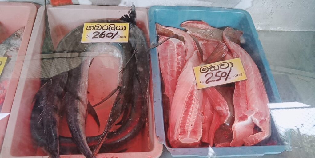වැල්ලෙන් බැරිනම් එන්න රැල්ලට ! අඩුම මිළට අළුත් මාළු.. 8 IMG 20210824 WA0018