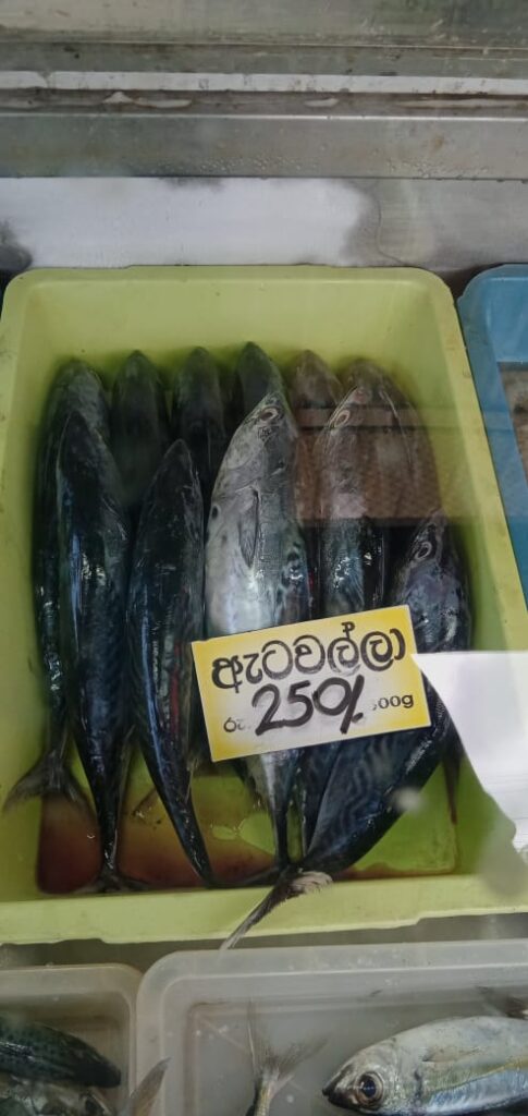 වැල්ලෙන් බැරිනම් එන්න රැල්ලට ! අඩුම මිළට අළුත් මාළු.. 11 IMG 20210824 WA0020