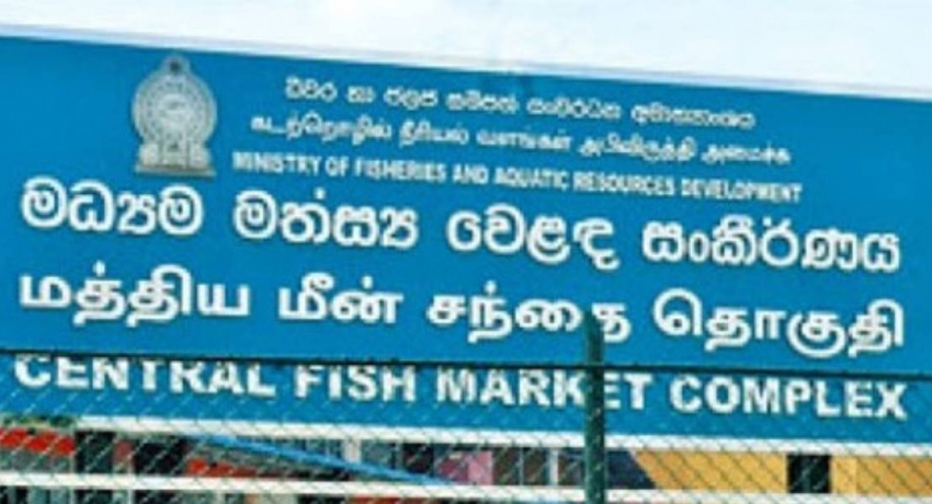 පෑලියගොඩ අරියි ! මිගමුවේ ලෙල්ලමට ඇයි කුඩම්මාගේ සැලකිලි ? 1 f75dede8 49ac028d new project