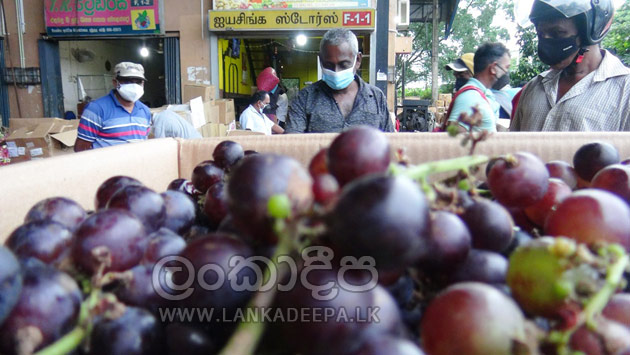 යාපනේ මිදි වලට හොඳ ඉල්ලුමක් ! තොග මිළ රු 200 යි ! 1 image ef69627e1b