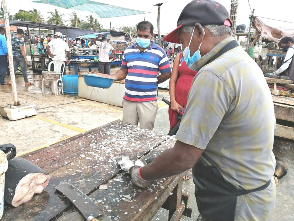 මවුන්ට් එළිසබෙත් රෝහල සහ මාළු කපන මල්ලි මාමාගේ හදවත 1 1