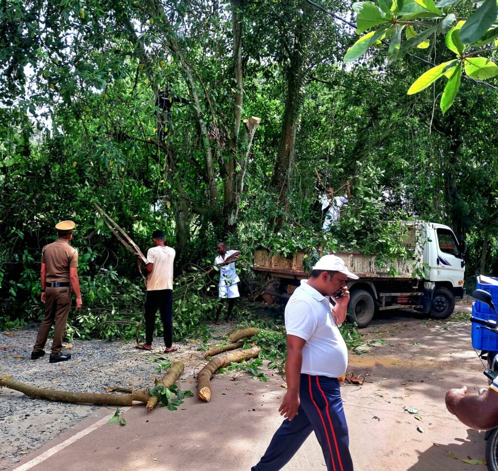 WhatsApp Image 2025 07 06 at 09.56.14 d0e82cf4