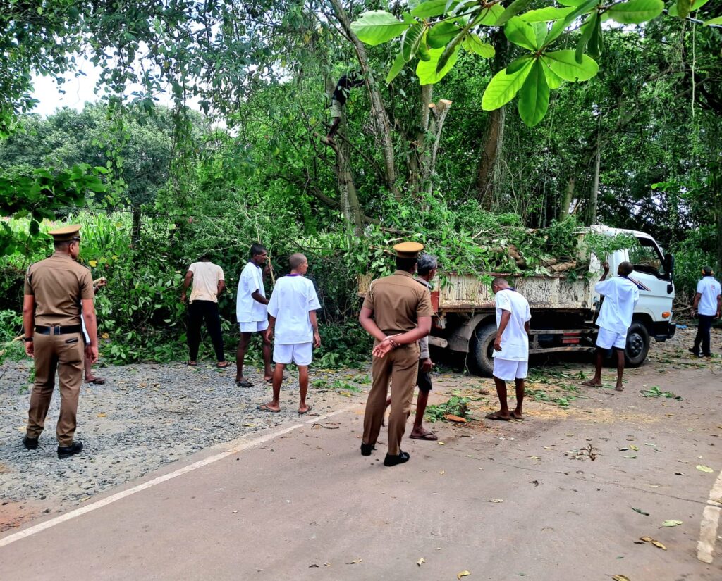 WhatsApp Image 2025 07 06 at 09.56.49 5b3c4ab5