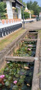 WhatsApp Image 2025 07 26 at 15.29.39 e5f8d842