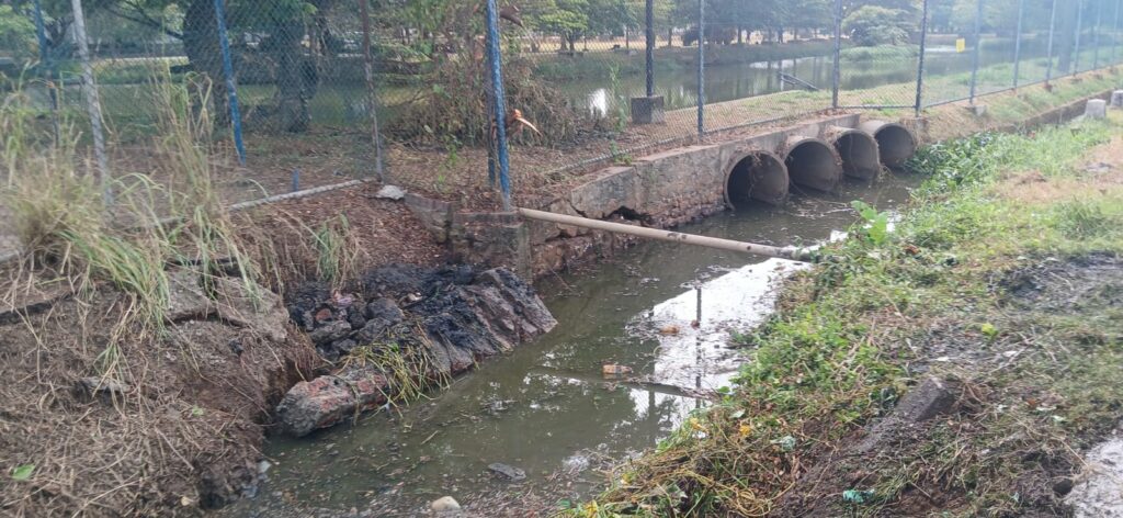 WhatsApp Image 2025 07 26 at 15.29.40 dd414cdf