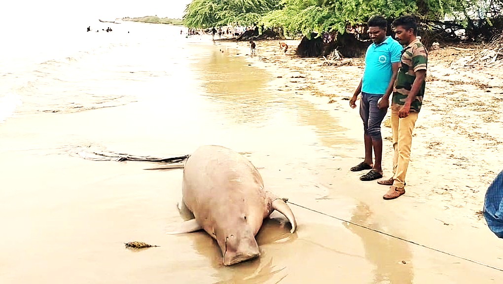 WhatsApp Image 2025 09 20 at 4.53.48 PM 1