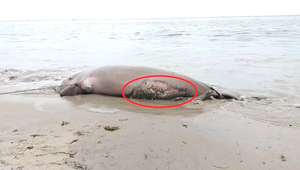 WhatsApp Image 2025 09 20 at 4.53.49 PM 1 1