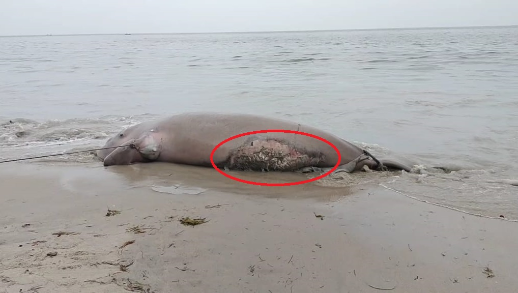 WhatsApp Image 2025 09 20 at 4.53.49 PM 1