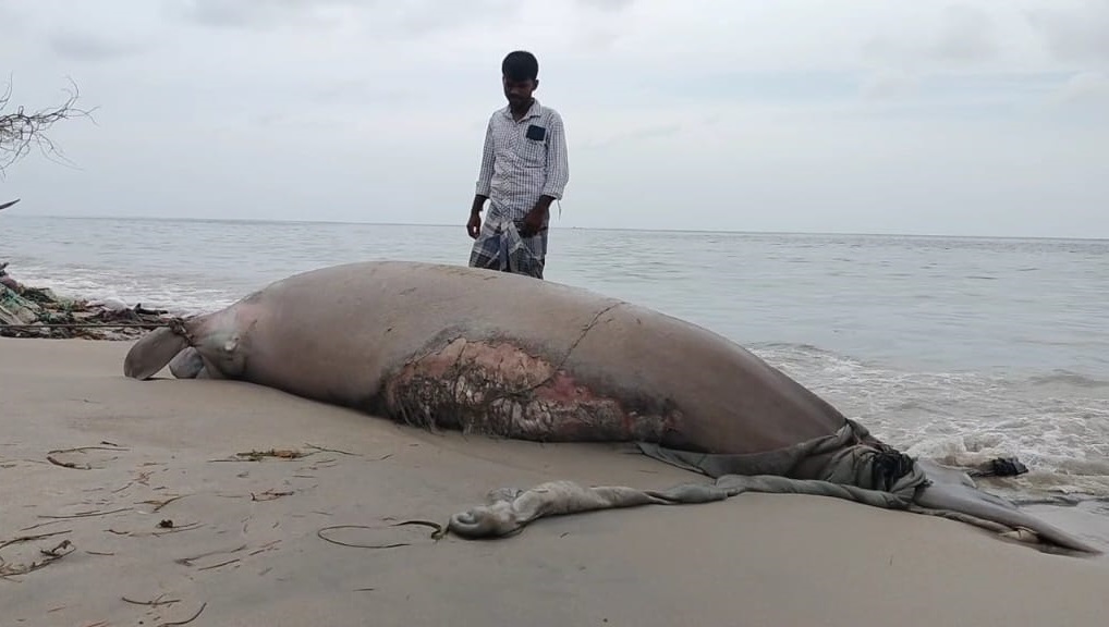 WhatsApp Image 2025 09 20 at 4.53.50 PM