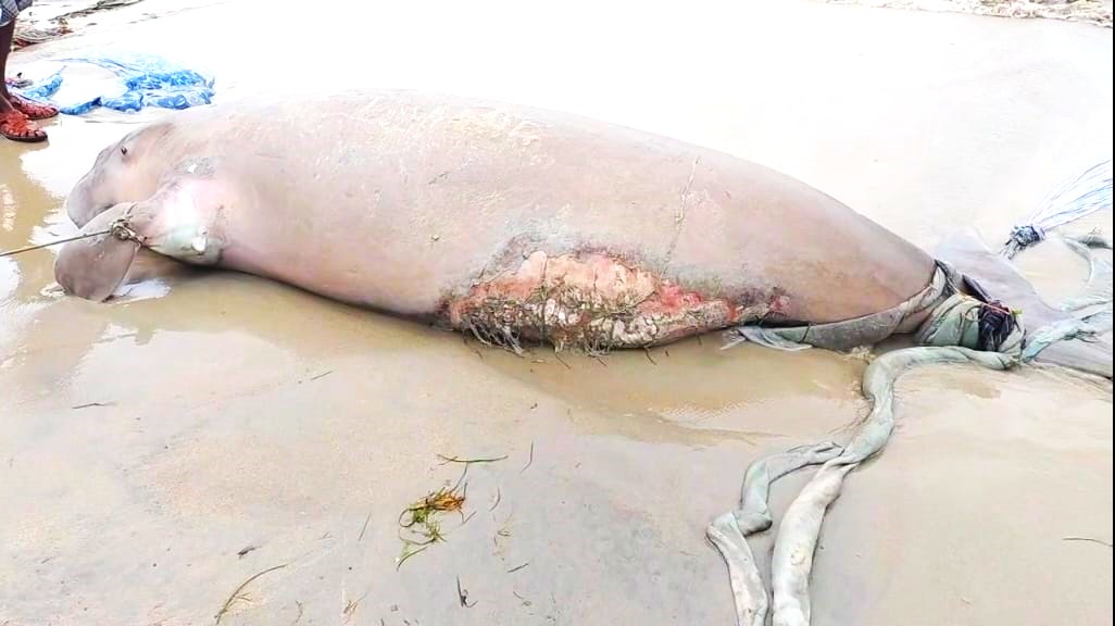 WhatsApp Image 2025 09 20 at 4.53.51 PM 1 1