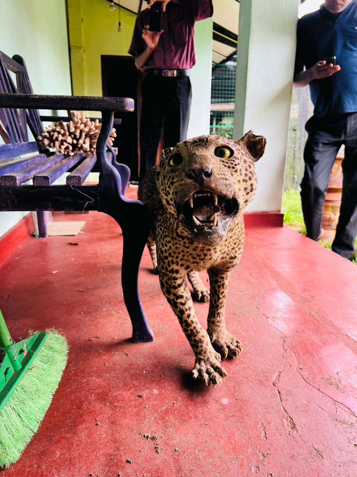 561189413 1272093478293693 6227347378945338131 n