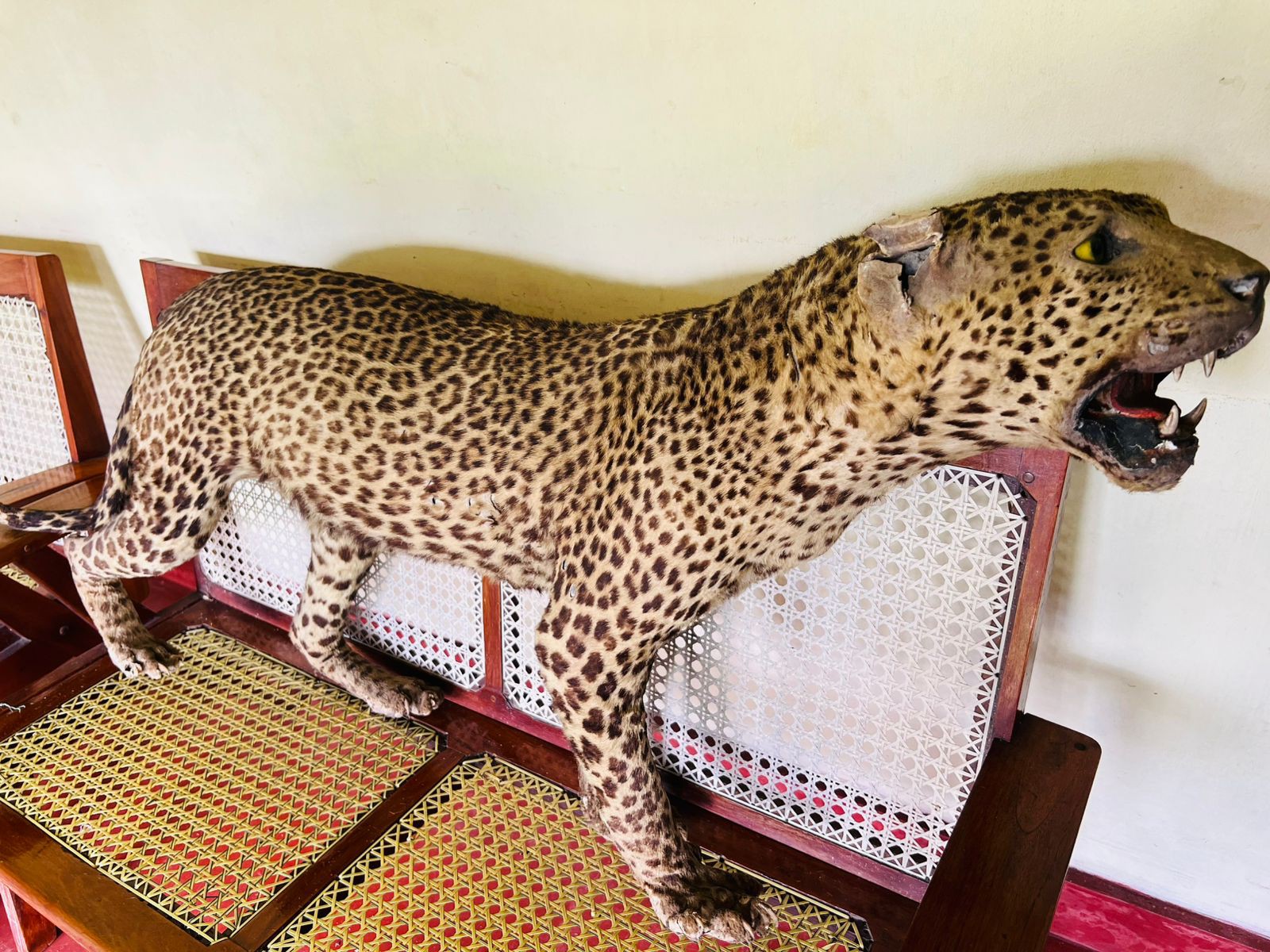 564715018 1272093601627014 520936900689529048 n