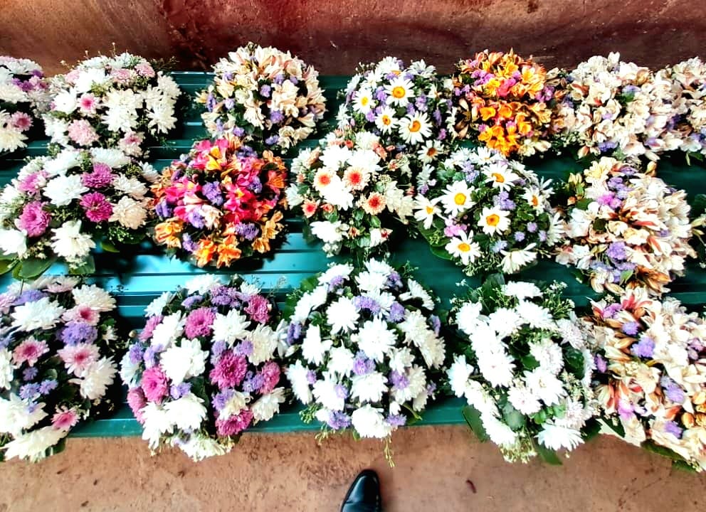 022fc94a 6e26 4549 bd05 be03800e1b9f