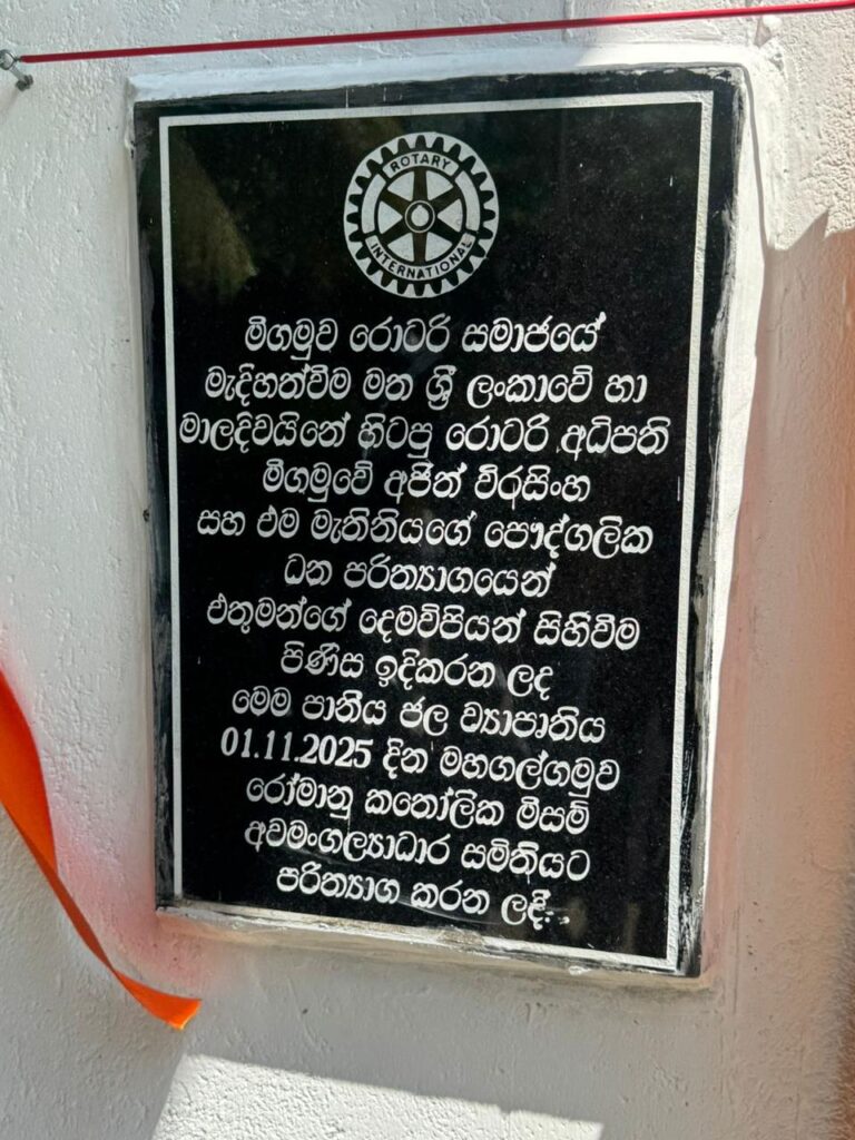 1cab32c7 5d0e 4c50 a936 06c585c5fd0b 1