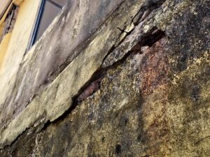 IMG 20251114 WA0044 1