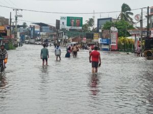 IMG 20251129 WA01361