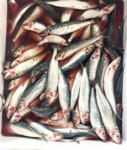 IMG 20251124 073642 2