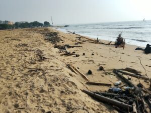 IMG 20251203 WA0017 1