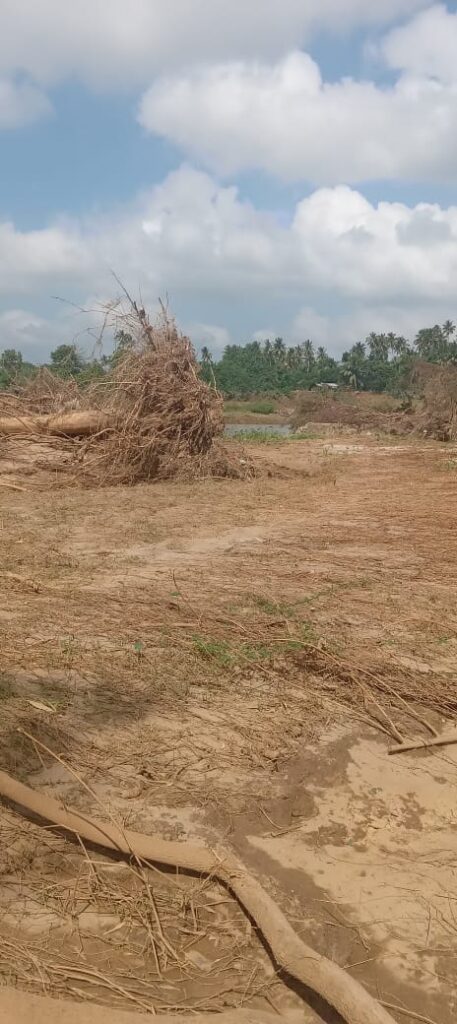 WhatsApp Image 2025 12 17 at 9.24.08 AM