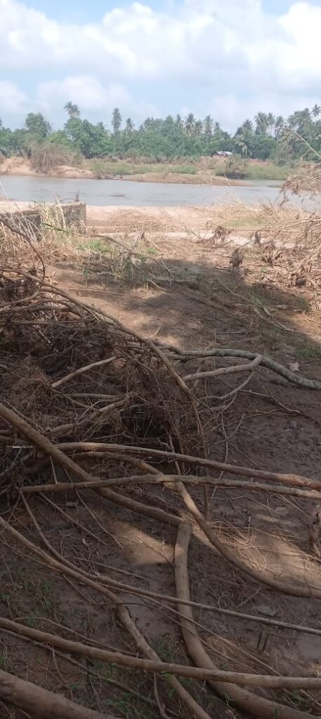 WhatsApp Image 2025 12 17 at 9.25.20 AM