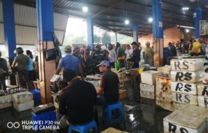 IMG 20260122 054347 copy 800x513