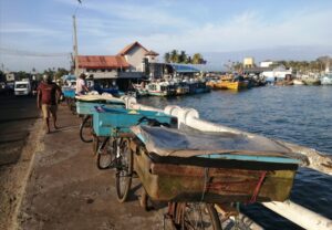 IMG 20260122 054543 copy 800x554