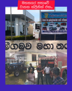 InShot 20260111 102037775