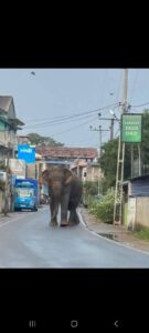 FB IMG 1770981036650