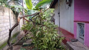 FB IMG 1770981058958