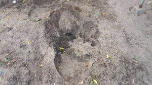 FB IMG 1770981062917