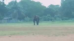 FB IMG 1770981099572