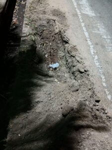 IMG 20260202 WA00841