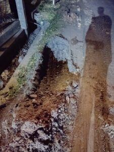 IMG 20260202 WA00851