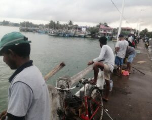 IMG 20251012 131109 copy 800x6291