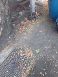 WhatsApp Image 2026 01 30 at 6.18.50 PM