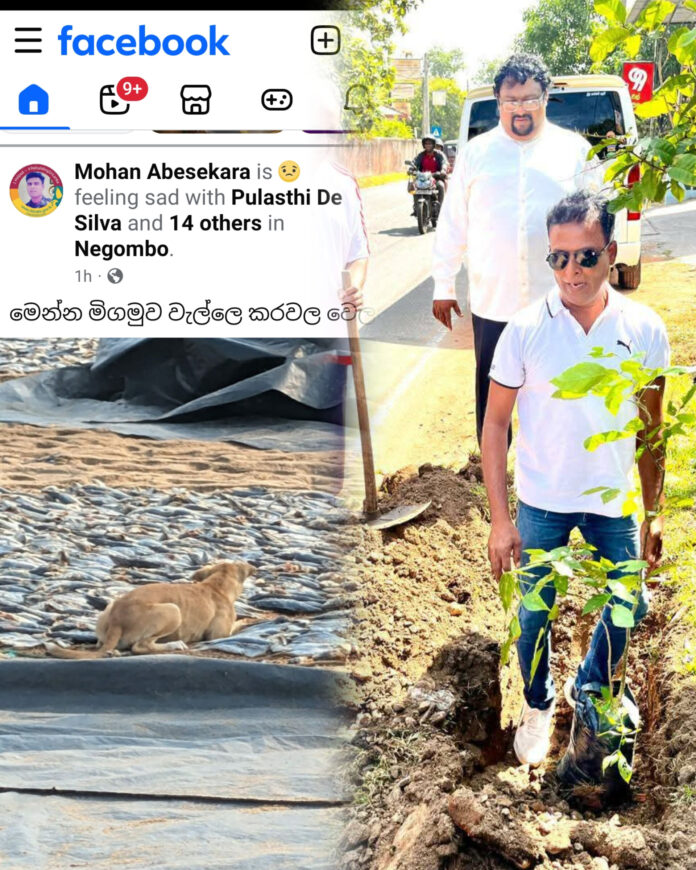 InShot_20260309_101020320