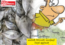 තෙප්පම් ධීවරයන්ට මාළු ටිකක් අහුවන එකට සමහර මාදැල් මුදාලාලිලාට තරහ යන්නේ ඇයි?