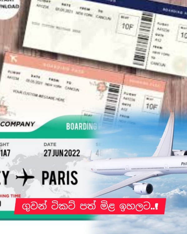 InShot_20260314_201623027