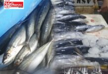 අපි දාන මාළු මිළ ගණන් විස්තරය නිසා අවුල් යන අය කව්ද?