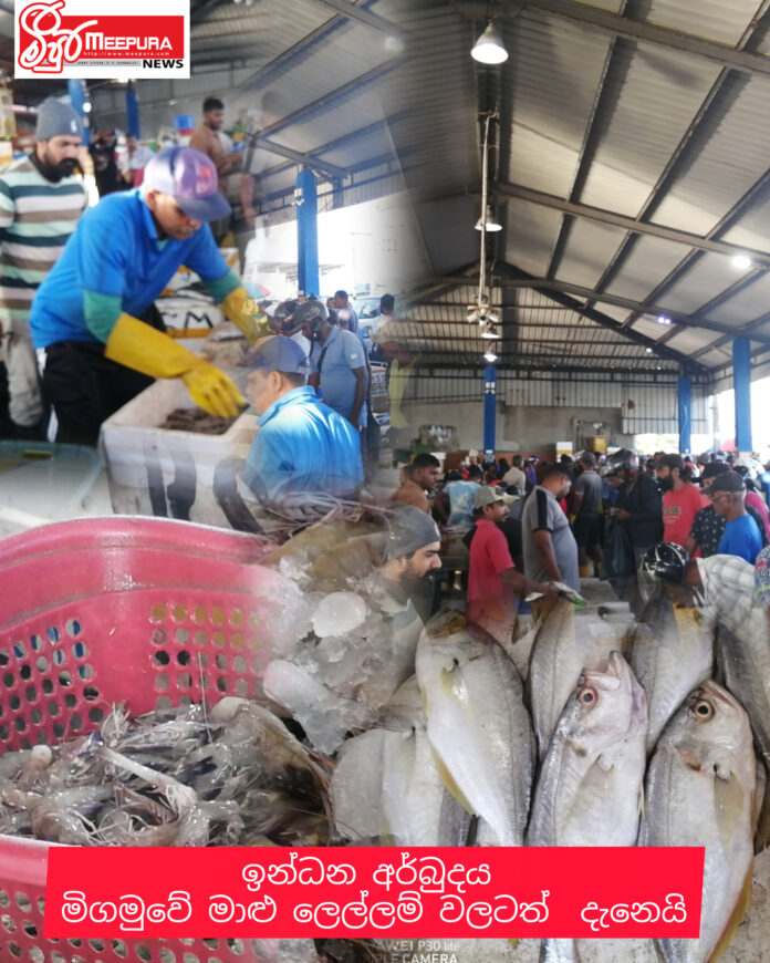 InShot_20260321_064143447