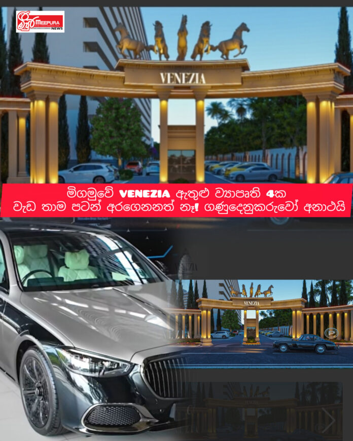 InShot_20260329_154423742