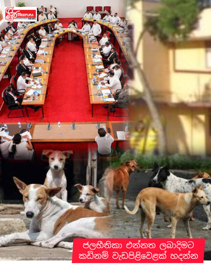 InShot_20260331_102529302