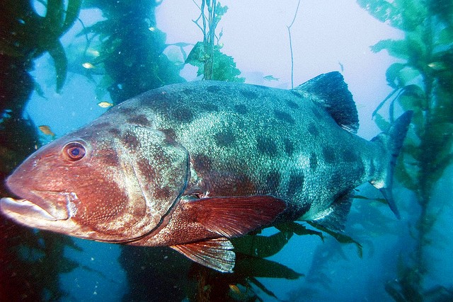 2730194954_90ce46dc15_z