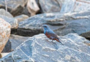 FB IMG 1775499109284