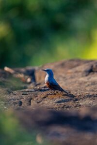 FB IMG 1775499112574