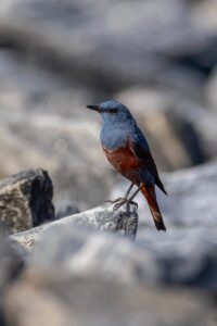 FB IMG 1775499115304